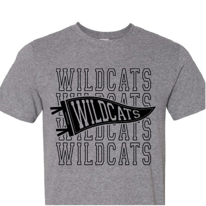 Wildcats Pennant