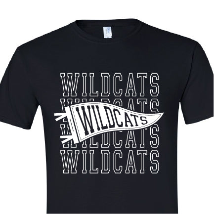 Wildcats Pennant