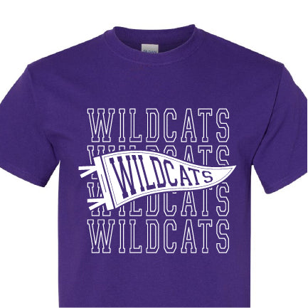 Wildcats Pennant